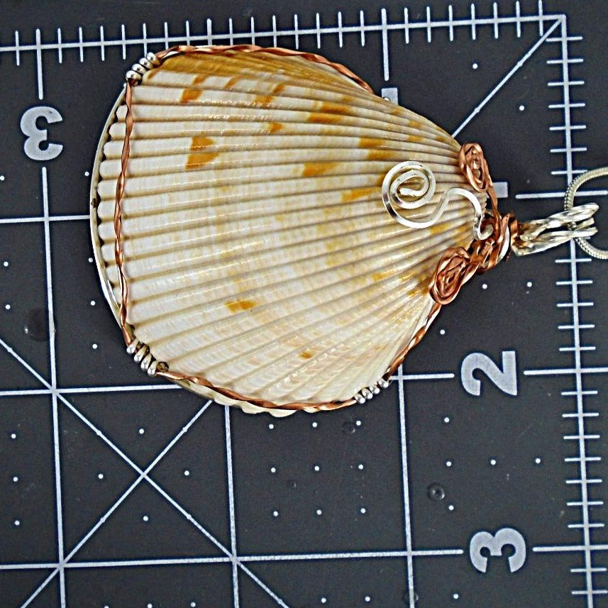 Natural Cockle Shell Pendant Copper/Silver Color Wire Wrapped And Encased-Beach Boho - South Florida Boho Boutique
